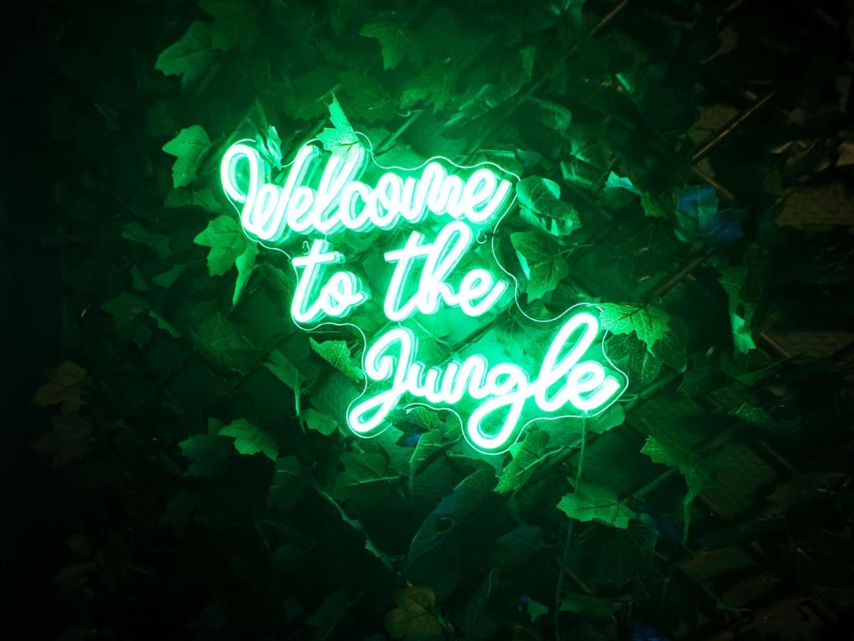 Jungle Urbain- Sauna - Cine - Hamac - Hyper Centre Amiens Luaran gambar